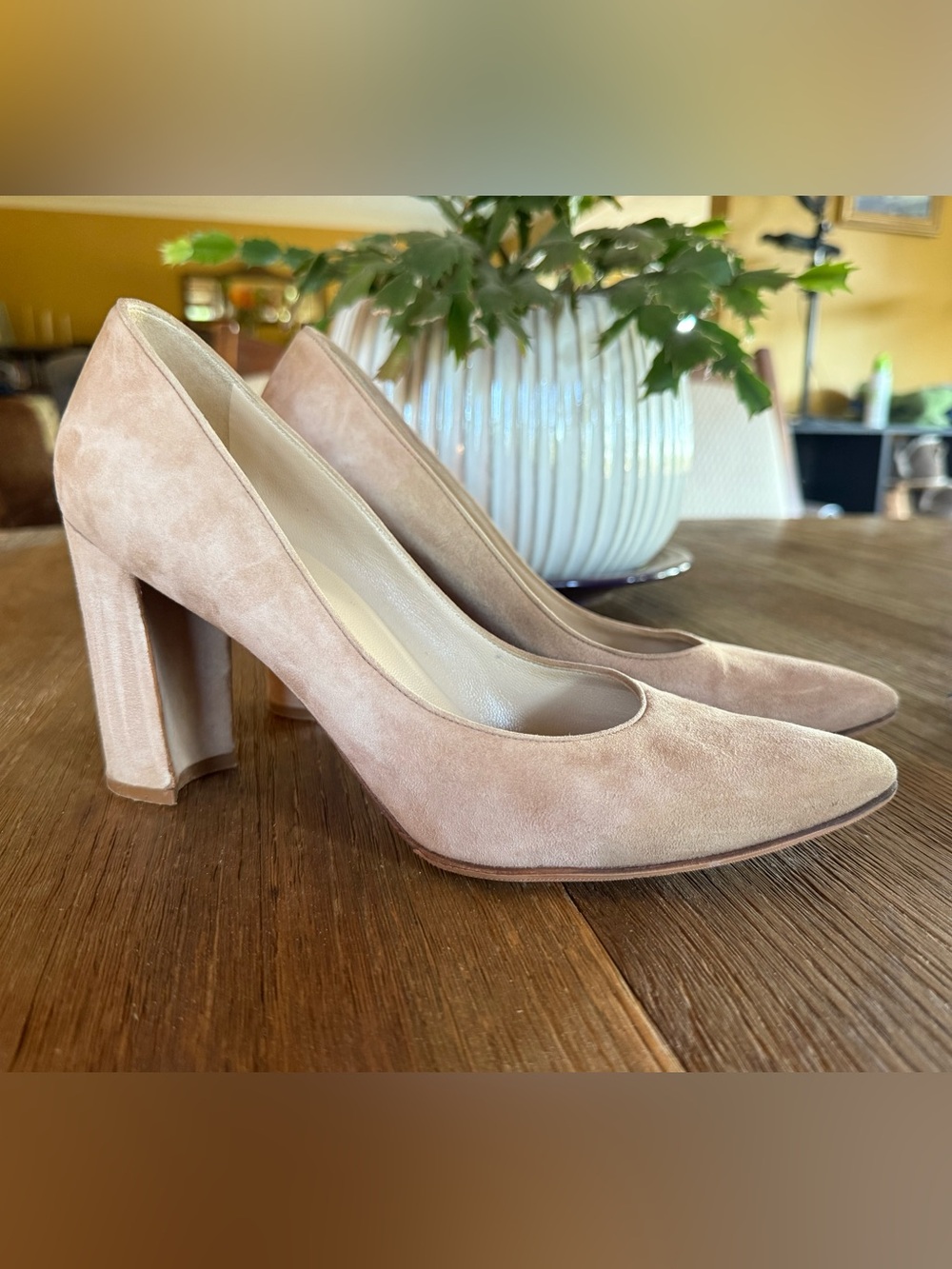 Manolo Blahnik Nude Suede Block Heel Pumps